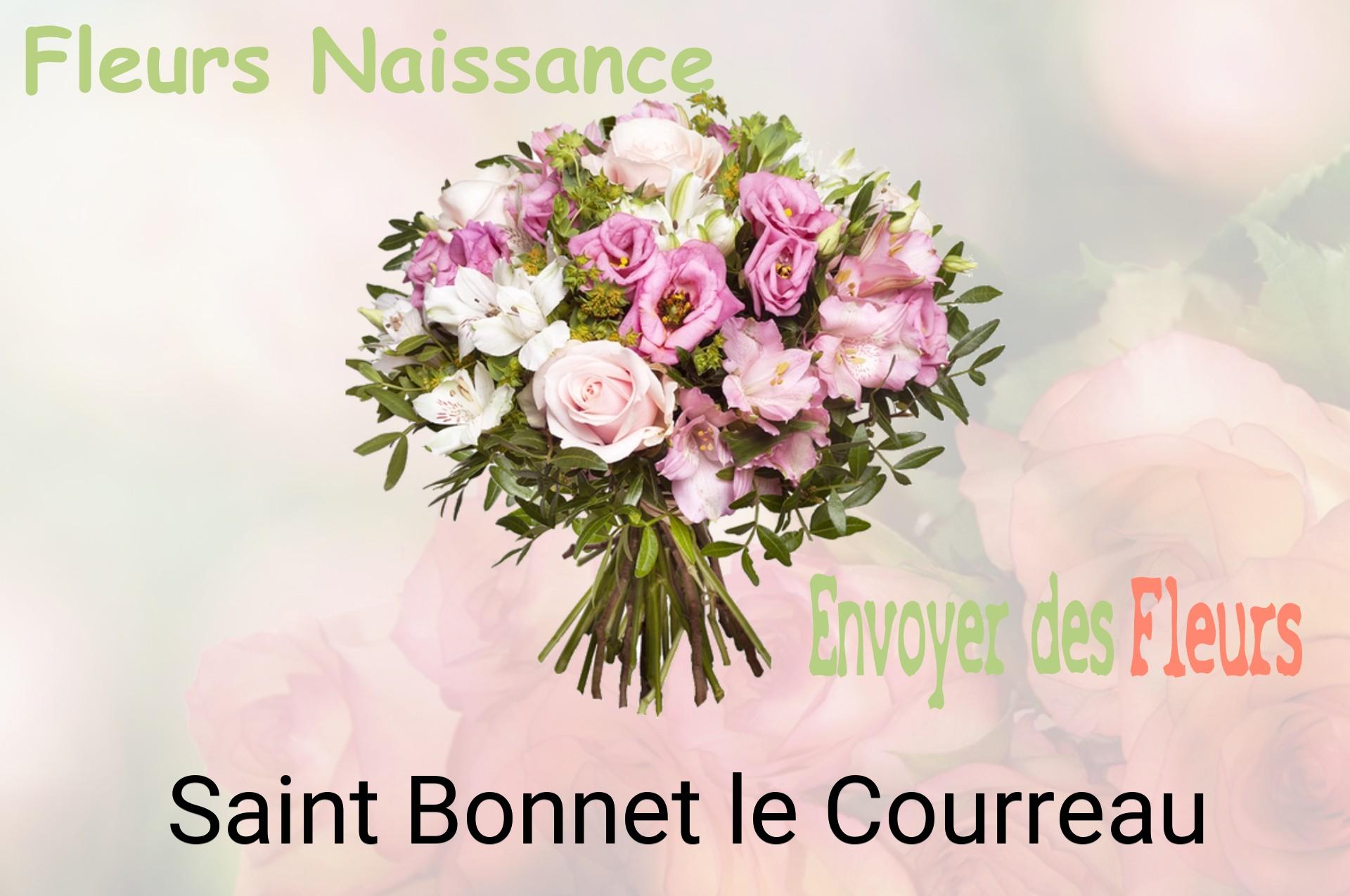 Bouquet de fleurs de naissance livré à Saint-Bonnet-le-Courreau